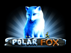 Sloto'Cash Casino background