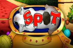 Slots.lv Casino background