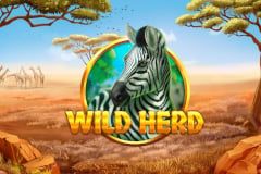 Sloto'Cash Casino background