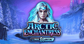 microgaming-arctic-enchantress