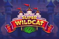 Sloto'Cash Casino background