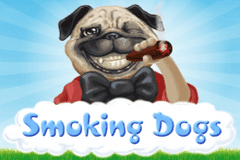 Sloto'Cash Casino background
