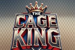 Vegas Casino Online background