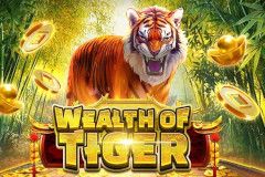 Wealth of Tiger free slot background