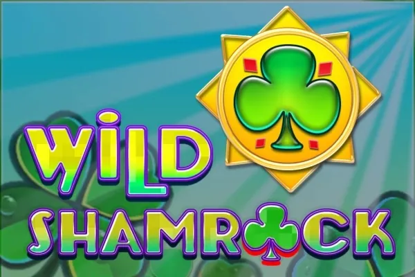 Sloto'Cash Casino background