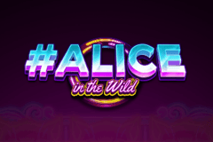 Sloto'Cash Casino background