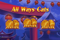 Sloto'Cash Casino background