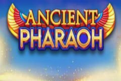 Sloto'Cash Casino background