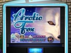 Sloto'Cash Casino background