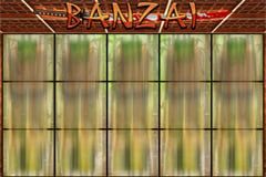 Sloto'Cash Casino background