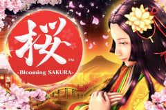 Sloto'Cash Casino background