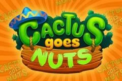 Sloto'Cash Casino background