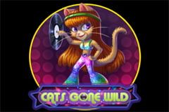 Sloto'Cash Casino background