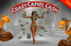 Sloto'Cash Casino background