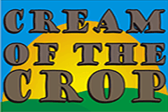 Sloto'Cash Casino background