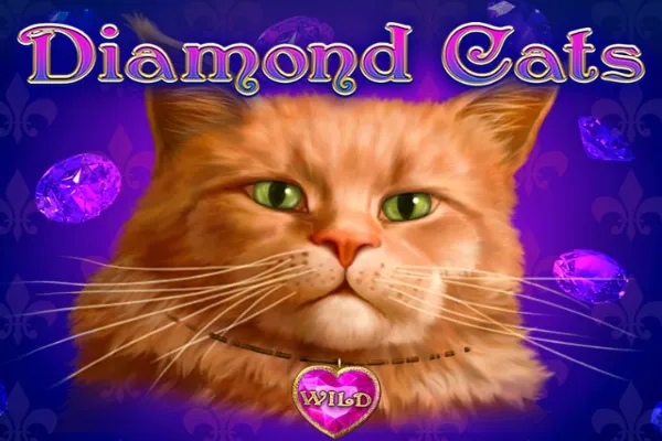 Sloto'Cash Casino background