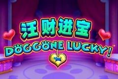 Sloto'Cash Casino background