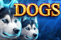 Sloto'Cash Casino background