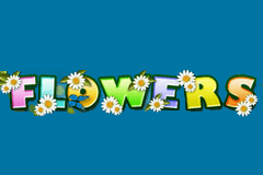 Sloto'Cash Casino background