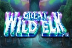 Sloto'Cash Casino background