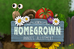 Sloto'Cash Casino background