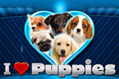 Sloto'Cash Casino background