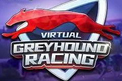 Sloto'Cash Casino background