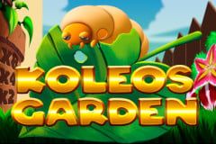 Sloto'Cash Casino background