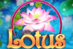 Sloto'Cash Casino background