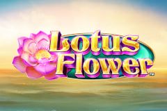 Sloto'Cash Casino background