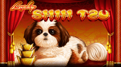 Sloto'Cash Casino background