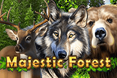 Sloto'Cash Casino background