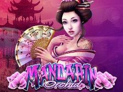 Sloto'Cash Casino background