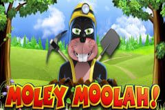 Sloto'Cash Casino background