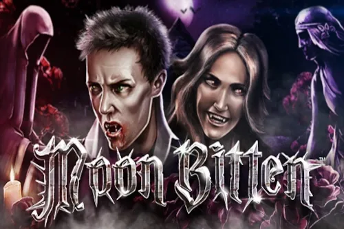 Sloto'Cash Casino background