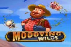 Sloto'Cash Casino background