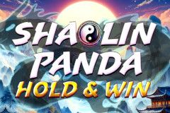 Sloto'Cash Casino background