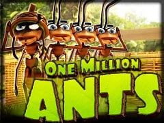 Sloto'Cash Casino background