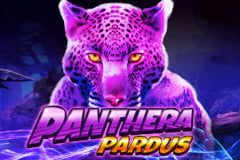 Sloto'Cash Casino background