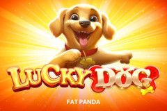 Sloto'Cash Casino background