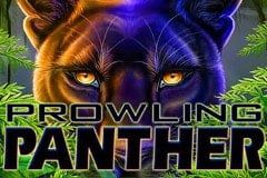 Sloto'Cash Casino background