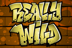 Sloto'Cash Casino background