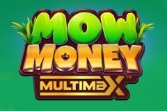 Sloto'Cash Casino background