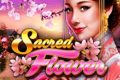 Sloto'Cash Casino background