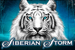 Sloto'Cash Casino background