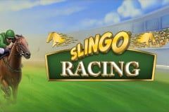 Sloto'Cash Casino background