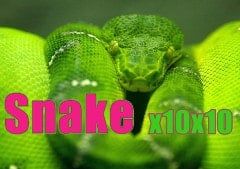 Sloto'Cash Casino background