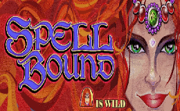 Sloto'Cash Casino background