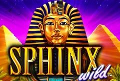 Sloto'Cash Casino background