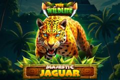 Sloto'Cash Casino background